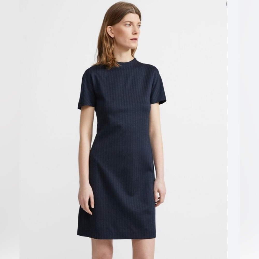 Theory Dolman Dress Pinstripe